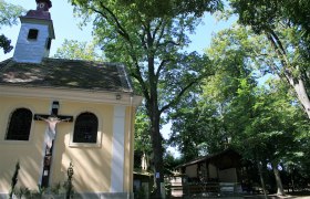 A small chapel in the forest with a crucifix on the outside wall.