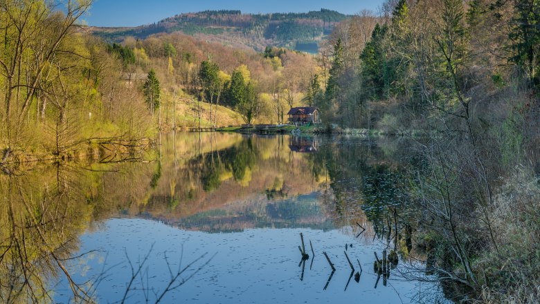A calm lake with forest and hills in the background, reflected in the water.