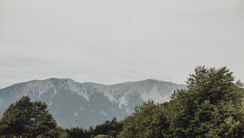 View of the Schneeberg with green trees in the foreground.
