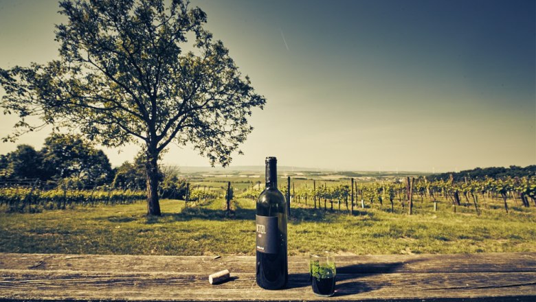 Listening station The three vineyards, VIA.CARNUNTUM., © Donau Niederösterreich, Andreas Hofer