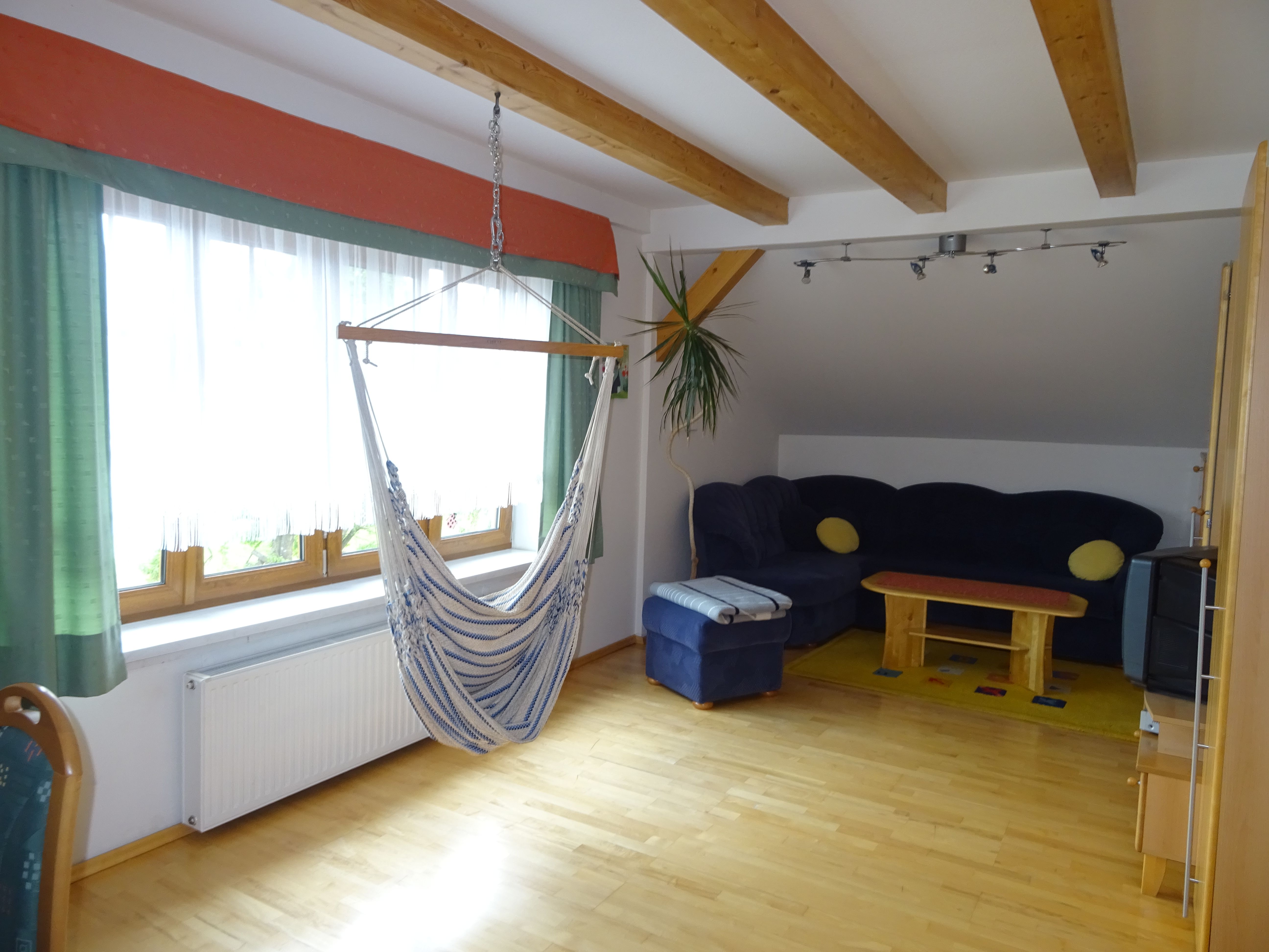 Living room with hanging chair, sofa, table and TV.