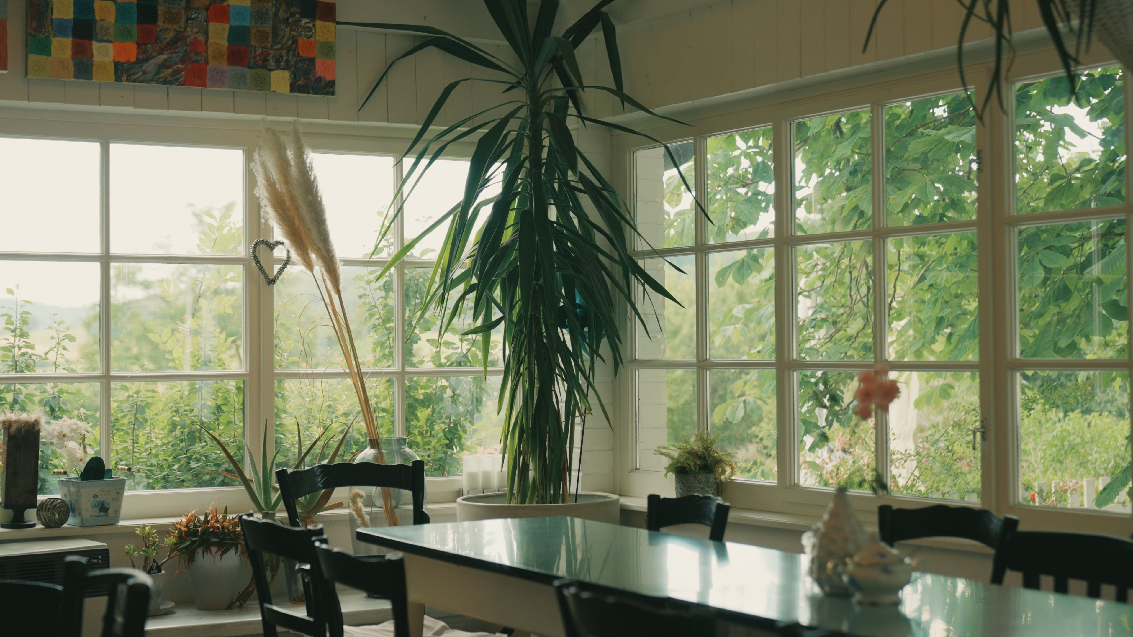 In the bright interior of the Gaaden dairy, there is a wooden table with chairs and a large plant