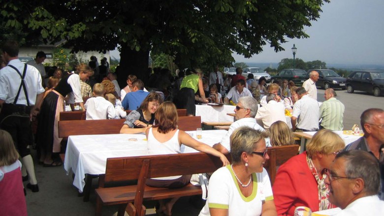 People sit at long tables outside under a tree.
