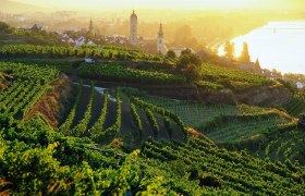 Wine autumn in Kremstal, © Barbara Krobath