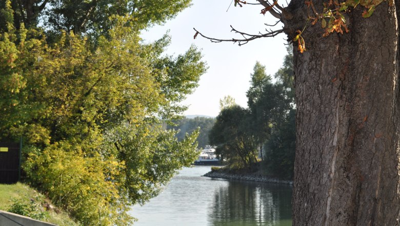 River with trees and a ship in the background.