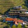 Aerial view of a modern hotel with terraces and green roofs, surrounded by vineyards.
