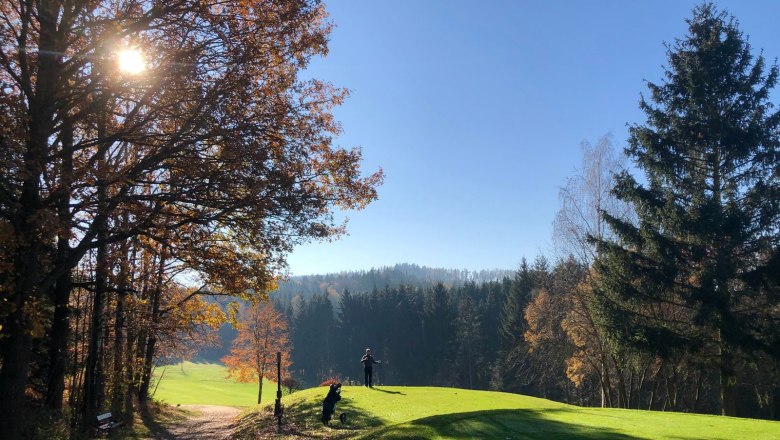 Golfers on a sunny fall course, surrounded by trees and forest.