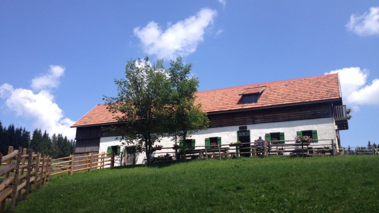 A traditional alpine building with a red tiled roof and green shutters on a meadow under a blue sky.