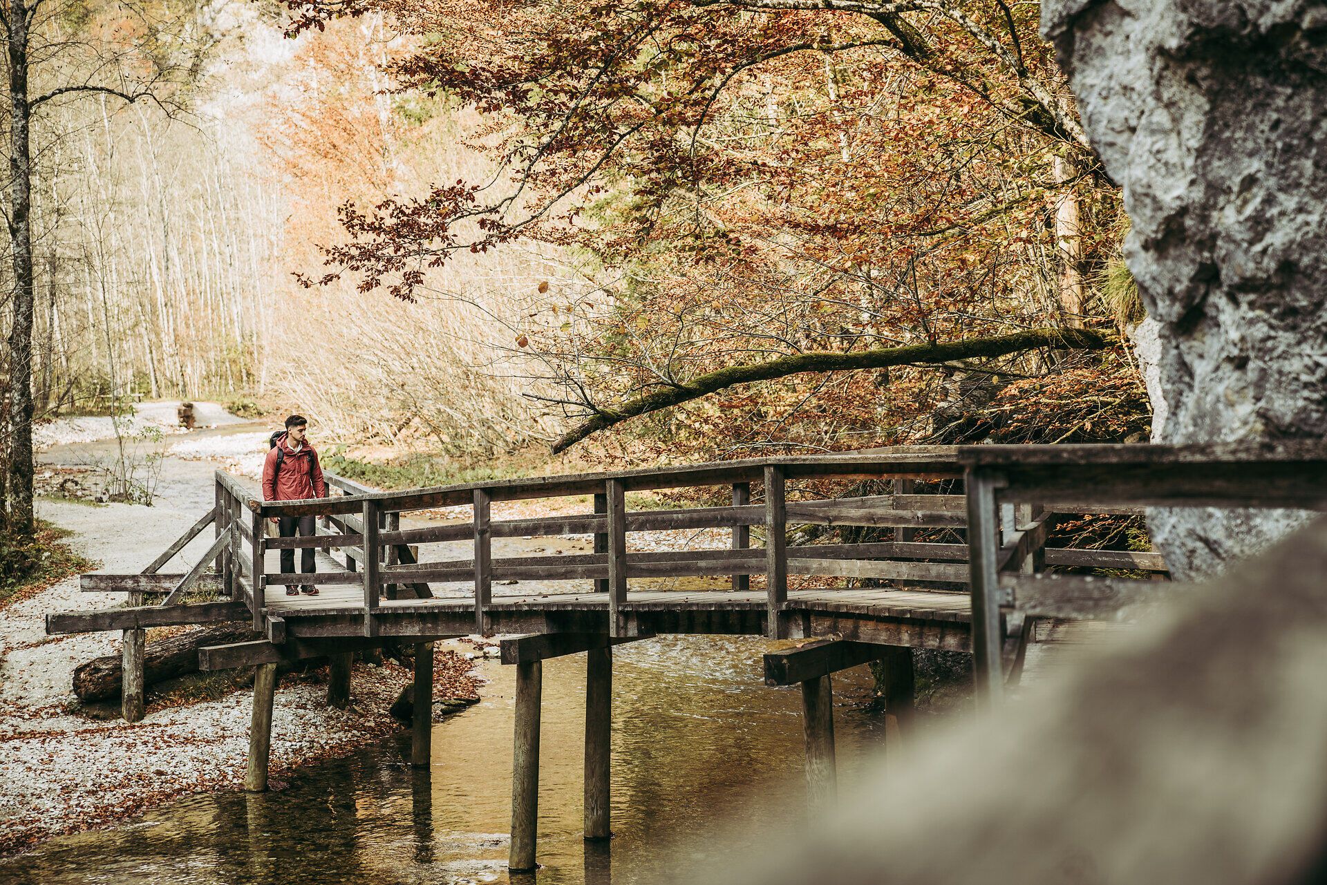 Ein malerischer Holzsteg führt durch die herbstlich gefärbte Landschaft, umgeben von leuchtenden Bäumen und sanften Hügeln. Die ruhige Atmosphäre des Mendlingtals lädt Wanderer ein, die Schönheit der Natur zu genießen und die frische Luft zu atmen.