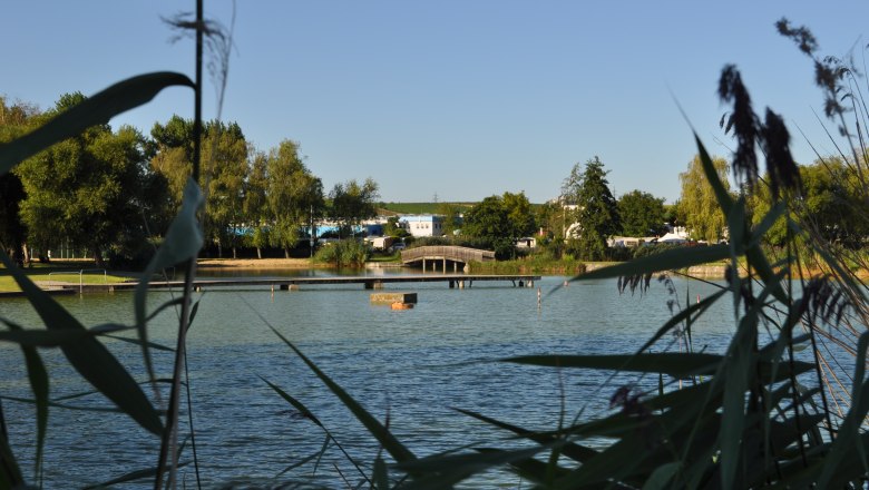 A quiet bathing pond with a bridge and trees in the background, framed by reeds.