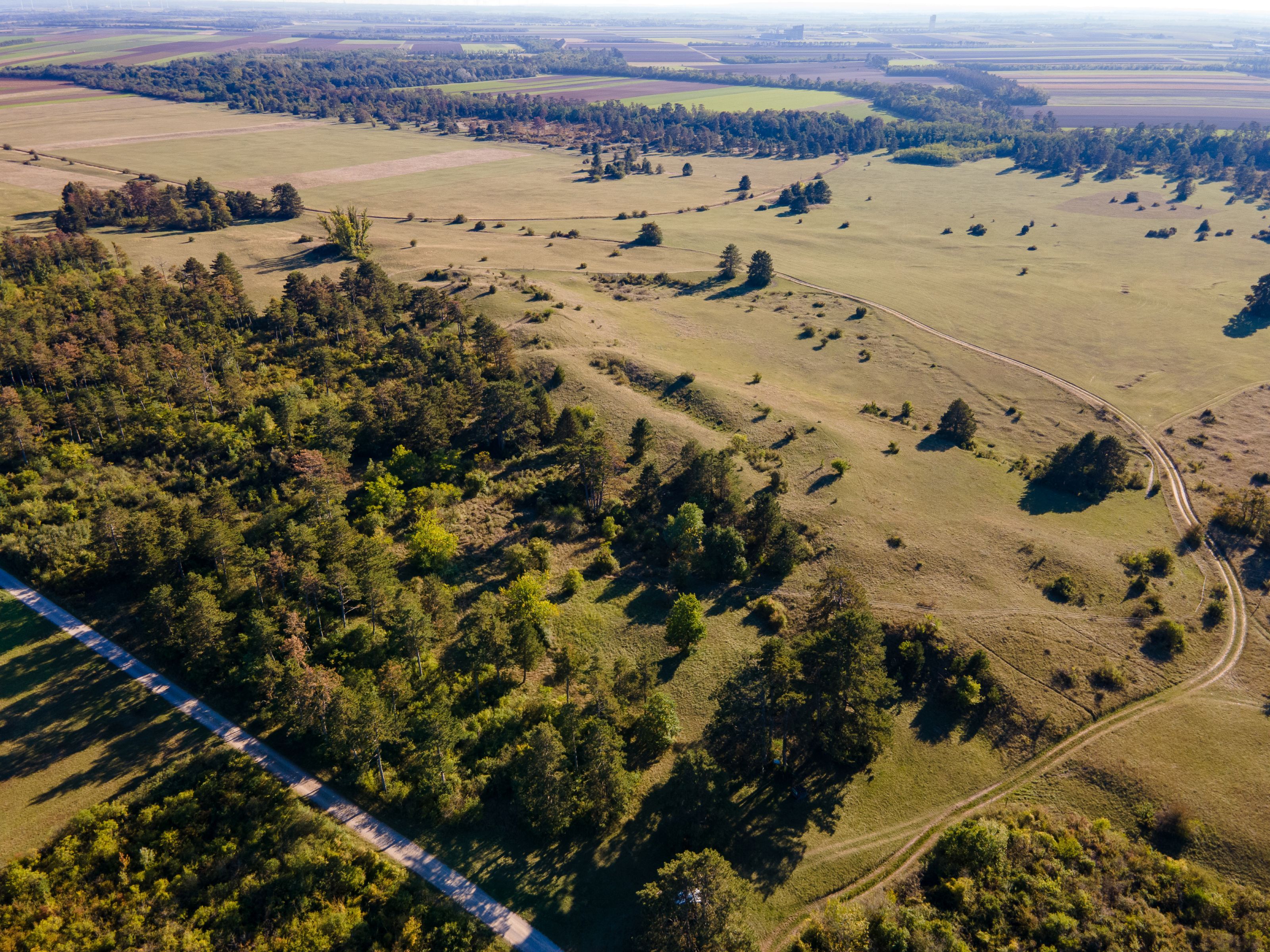 Aerial view of the town of Weiden an der March, featuring fields, meadows, clusters of trees, and paths in a vast landscape.