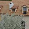Flowering tree in front of a traditional house with dormer windows in Dürnstein.
