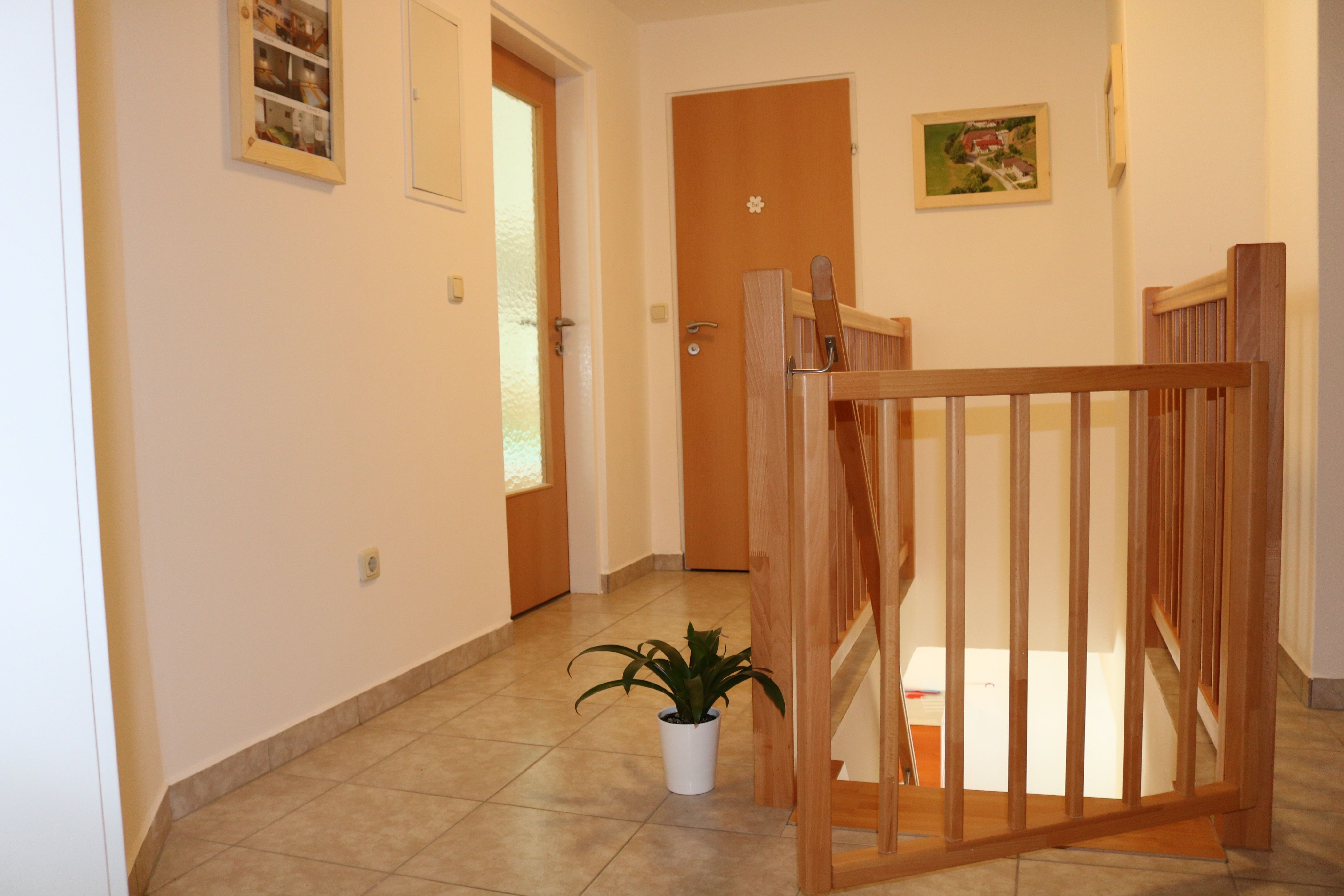 A bright hallway with wooden doors, a banister and a potted plant on the floor.