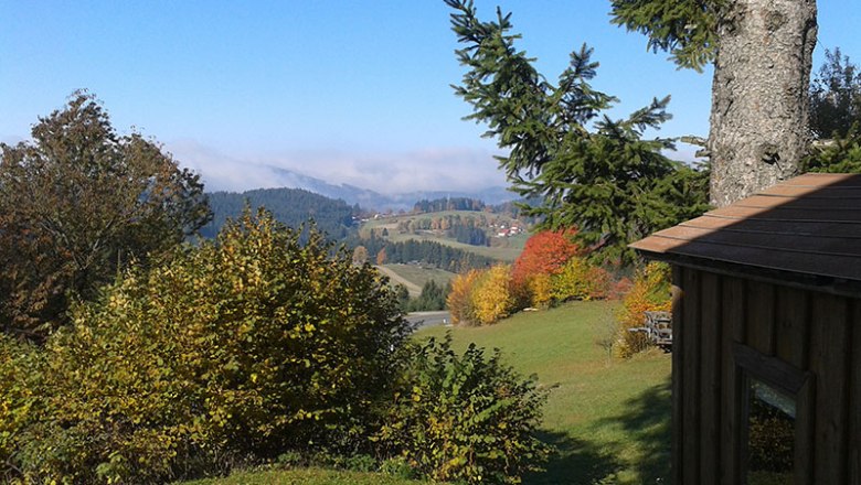 Landscape with trees, meadow and village in the background.