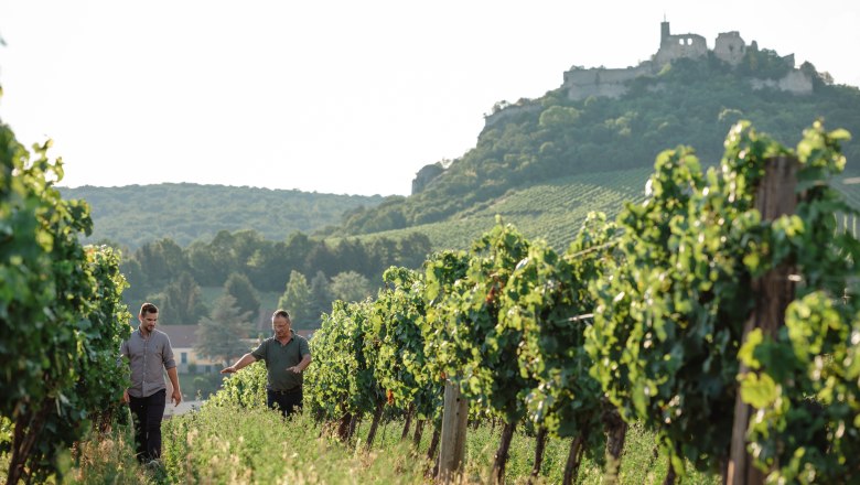 Two men walk through a vineyard with a ruined castle in the background.