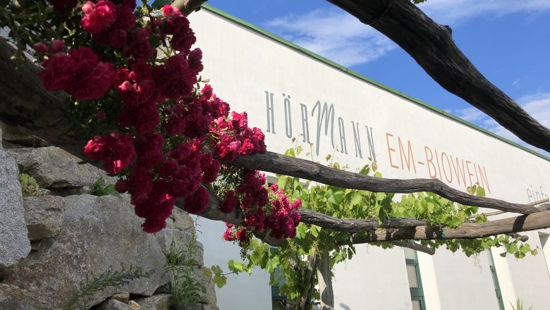 Roses and vines in front of the H&ouml;rmann organic winery building.