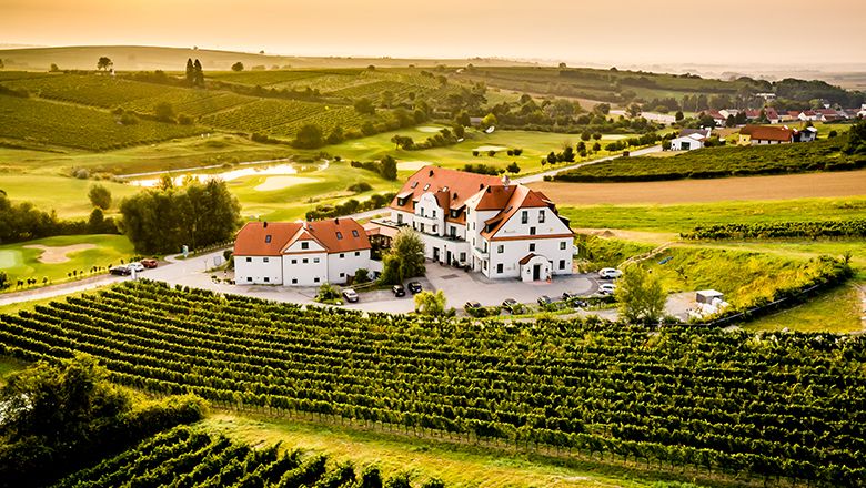 Aerial view of a hotel surrounded by vineyards at sunset.