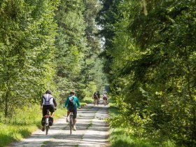 Mountainbiken Waldviertel, &copy; Waldviertel Tourismus, Erwin Haiden, nyx.at