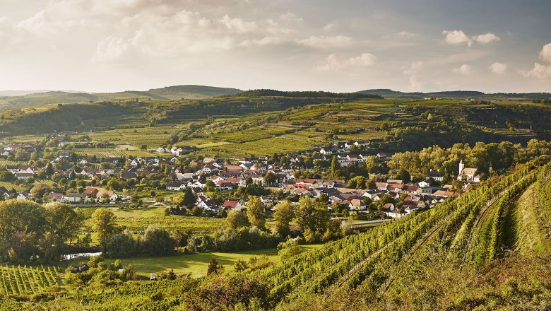 Kamptal wine route, © Robert Herbst