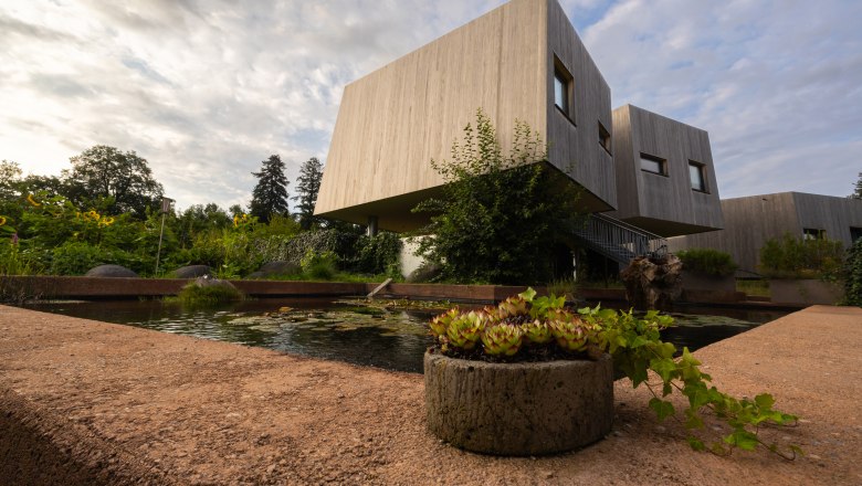 Modern wooden garden lofts with pond and plants in the foreground.