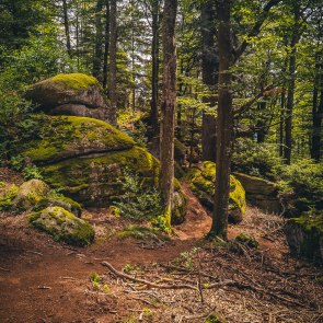 Mystical stone formations on the Druid's Path., © Niederösterreich Werbung/Michal Petrů