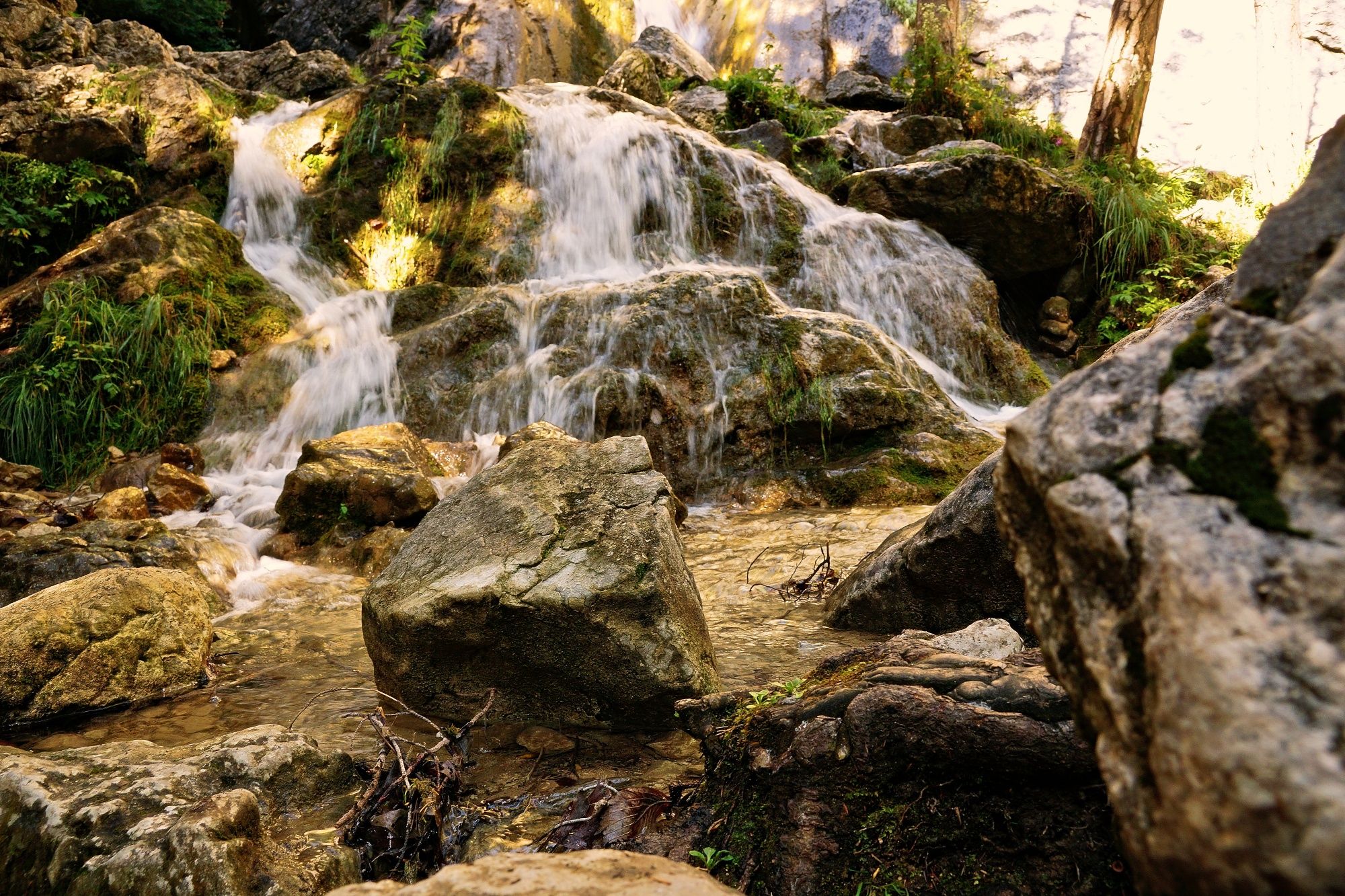 A small waterfall flows over moss-covered rocks in a forest.