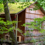 A small wooden hut in the forest with moss on the roof, surrounded by trees and plants.