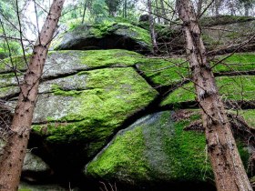 Fotowalk, &copy; Waldviertel Tourismus