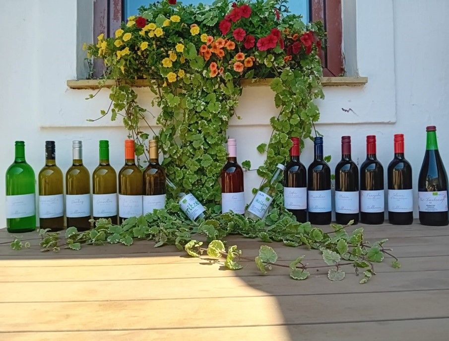 Wine bottles