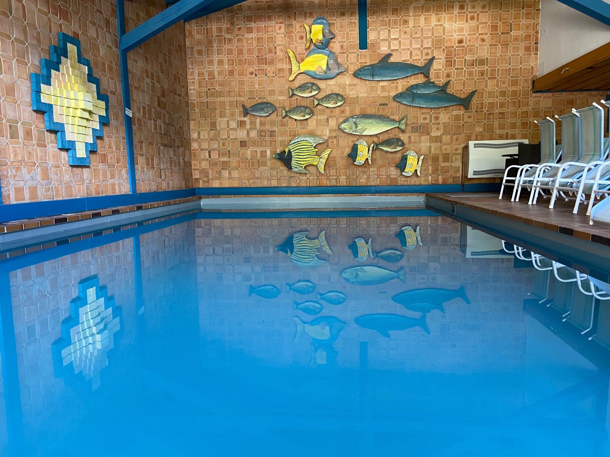 Indoor pool with blue water surface and wall decoration made of fish.