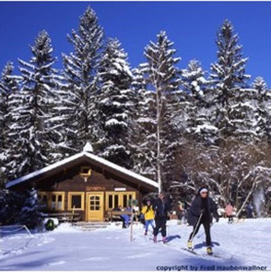 Cross-country skiing hut _LOIPEN LANGAU