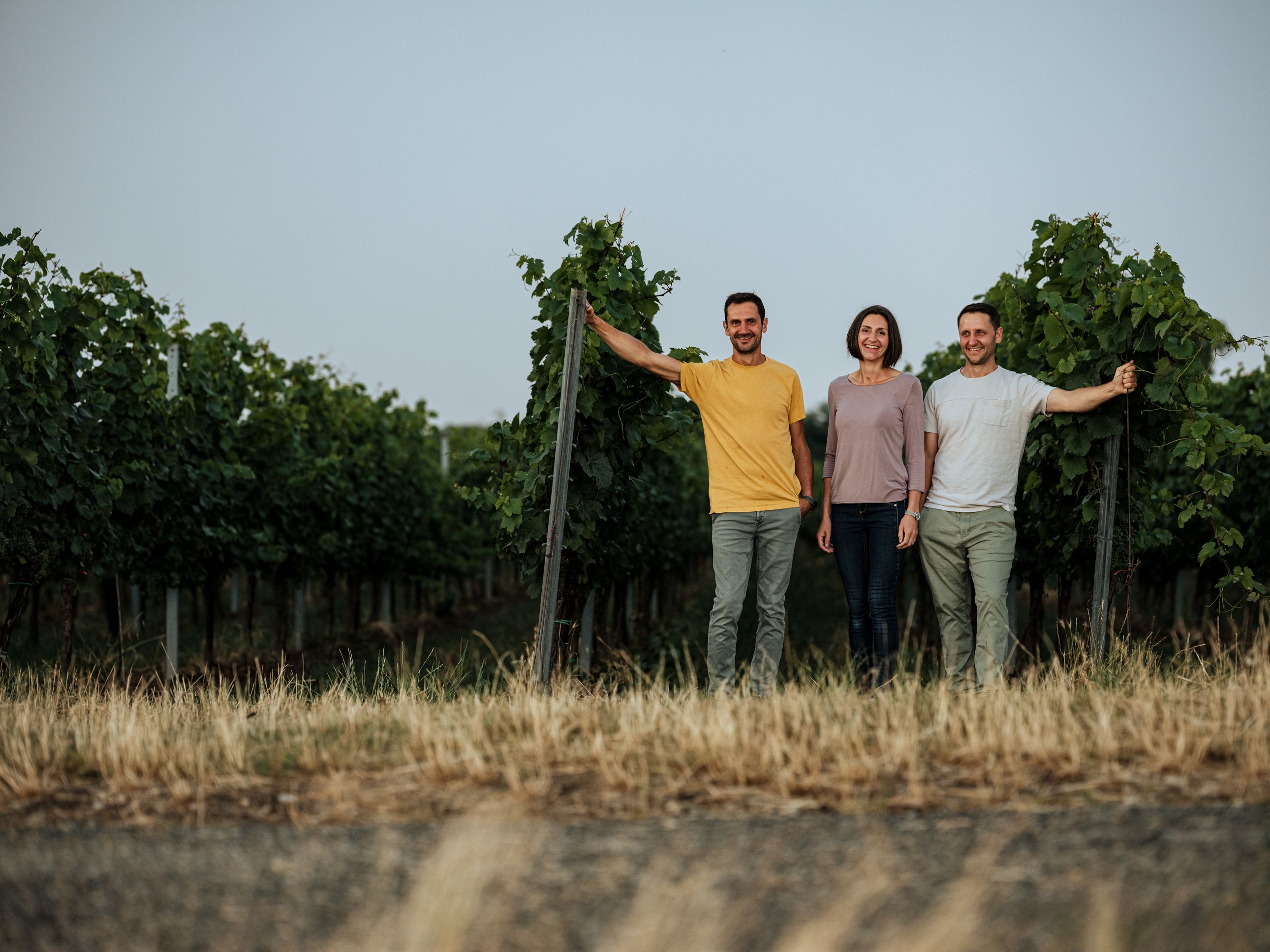 Three people are standing in a vineyard among the vines.