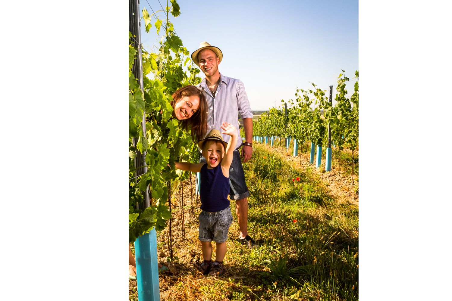 Family in the vineyard with happy child and parents in summer clothes.