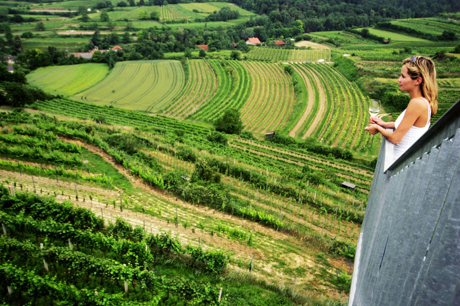 Woman with a wine glass looks out over green vineyards from a vantage point.