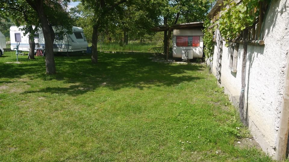Campsite with caravans under trees, next to a building with vines.