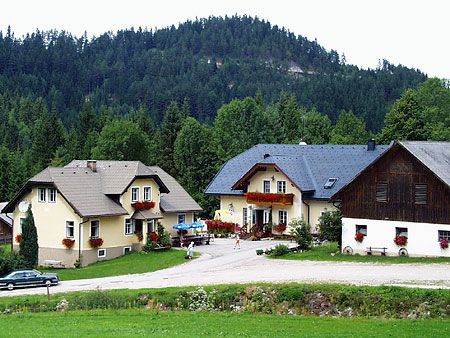 Three houses in a rural setting with a forest in the background.