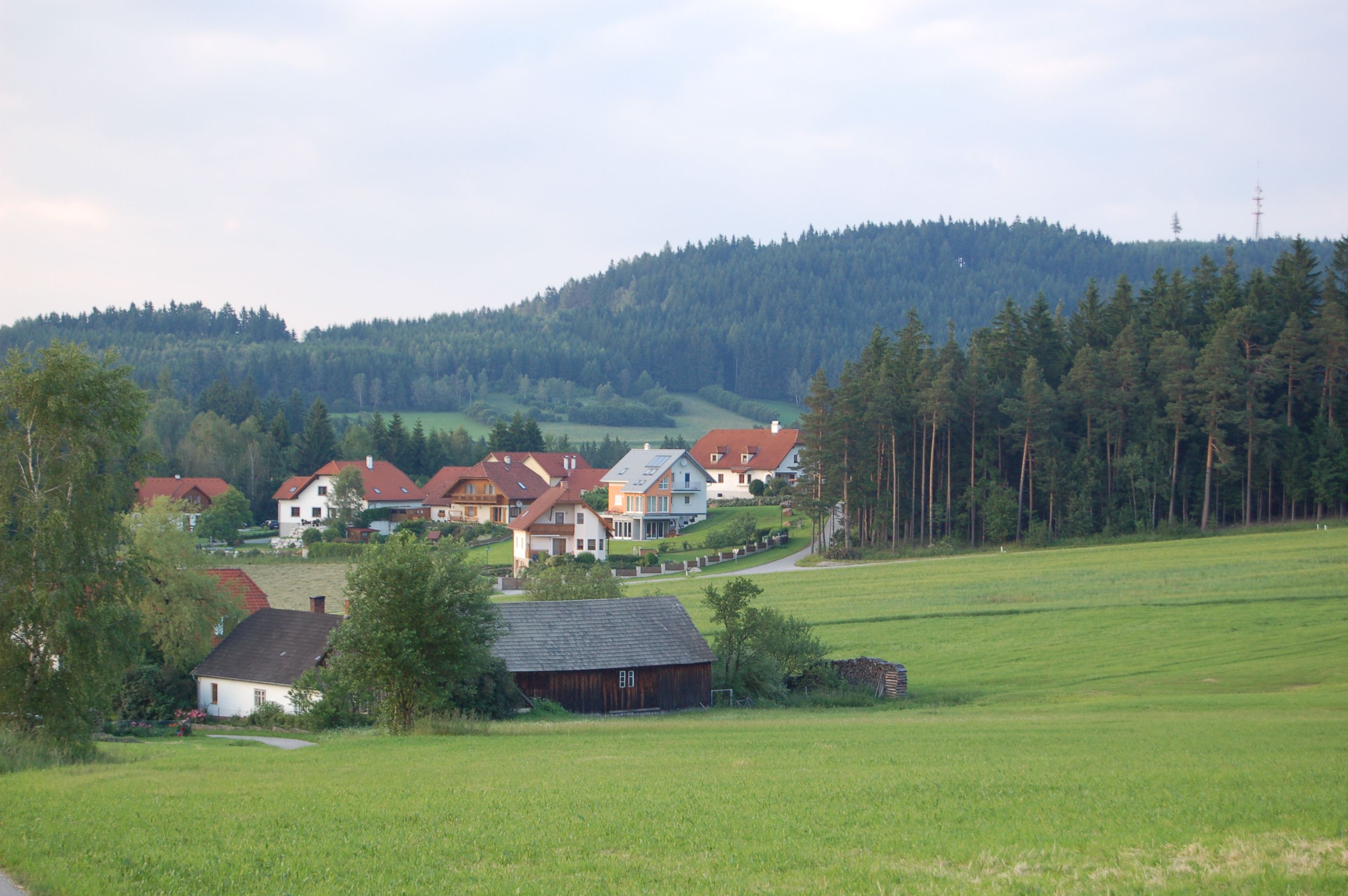 Rural scene with houses, meadows and forest in Waldhausen.