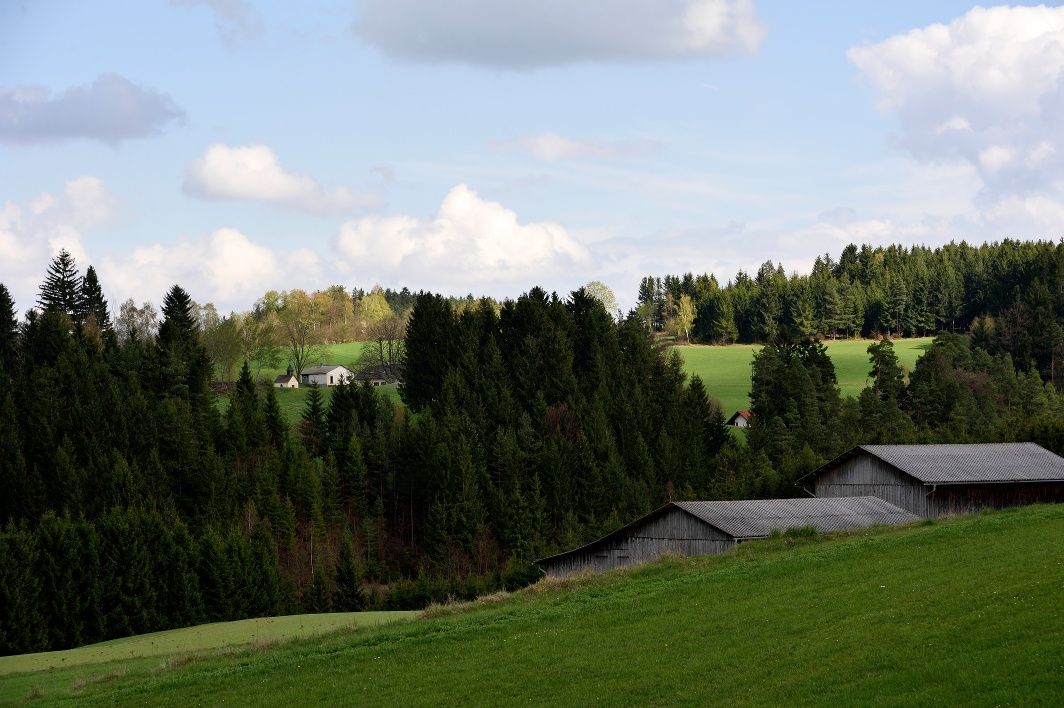 Friesenhof hiking trail
