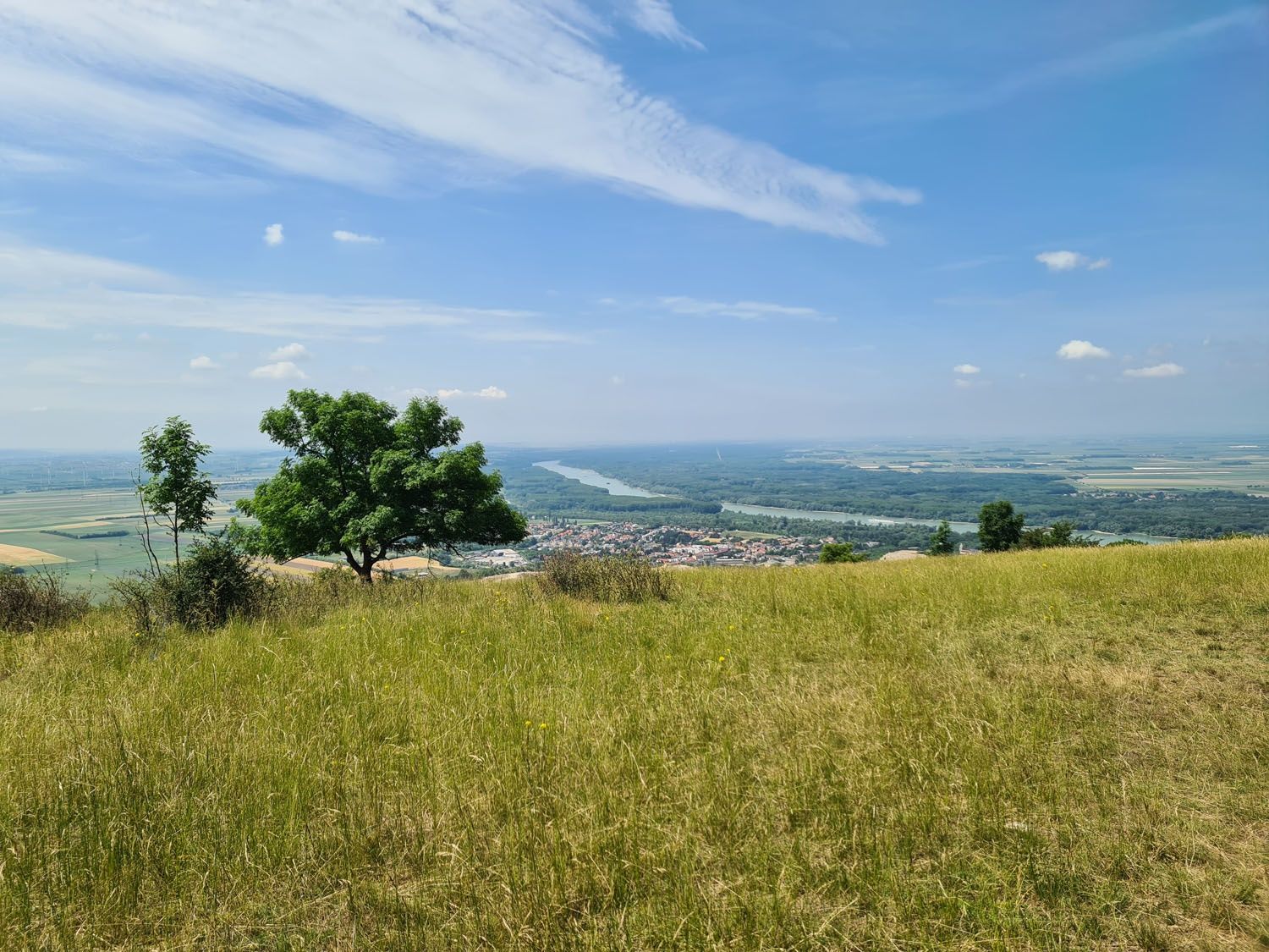 View from Hundsheimer Berg with a view of a valley, trees and a river.
