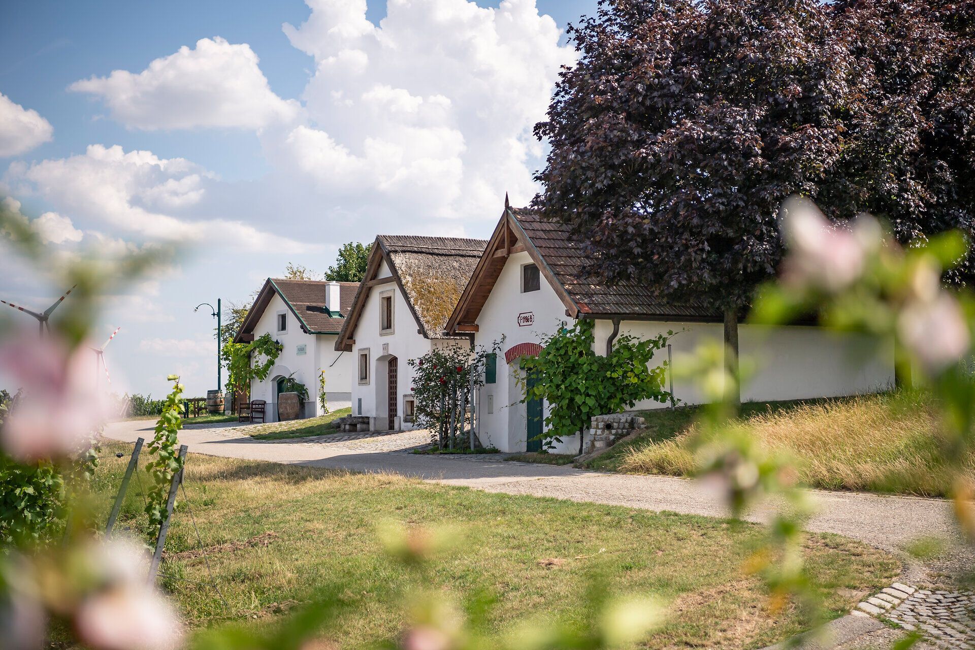 In the idyllic wine cellar lane of Höflein, charming, traditionally designed huts invite you to linger. Surrounded by lush greenery and flowering plants, summer here radiates a special sense of calm and coziness. A perfect place to unwind and enjoy the beauty of nature.