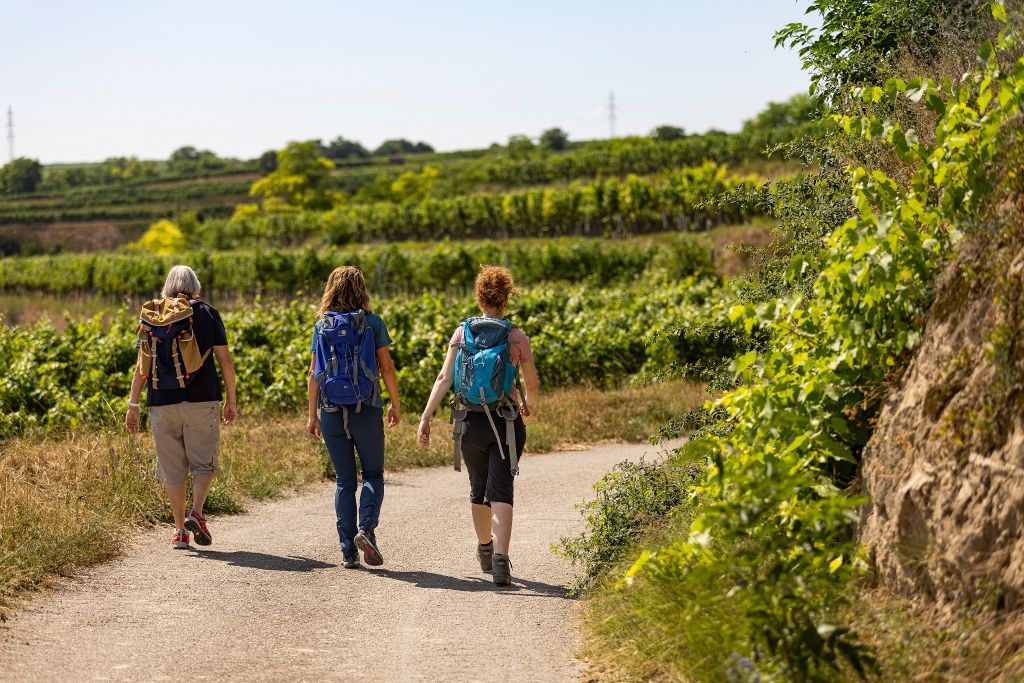 Hiking through the vineyards