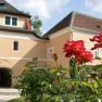 Close-up of red roses in front of a yellow castle building with roof and windows.