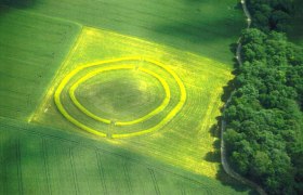 Aerial view of a circular ditch in a field next to a forest.