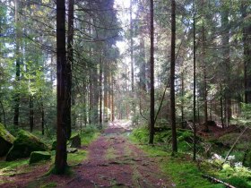 Blockheideweg, &copy; Marktgemeinde Hoheneich