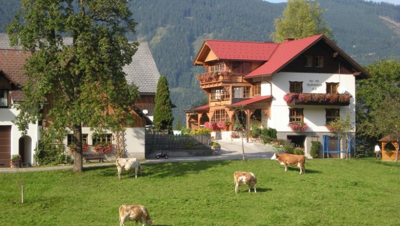 Farm with cows in a meadow in front of a traditional house in the Alps.