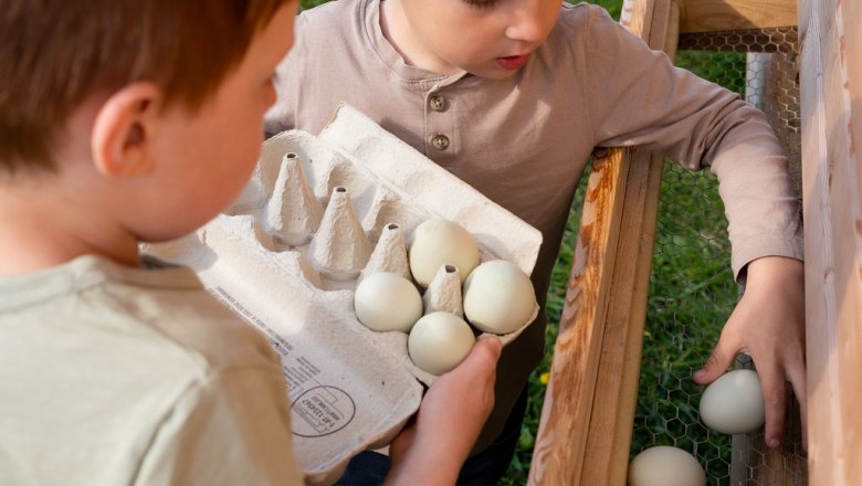 fresh eggs for breakfast, &copy; ReiWaSchHOF