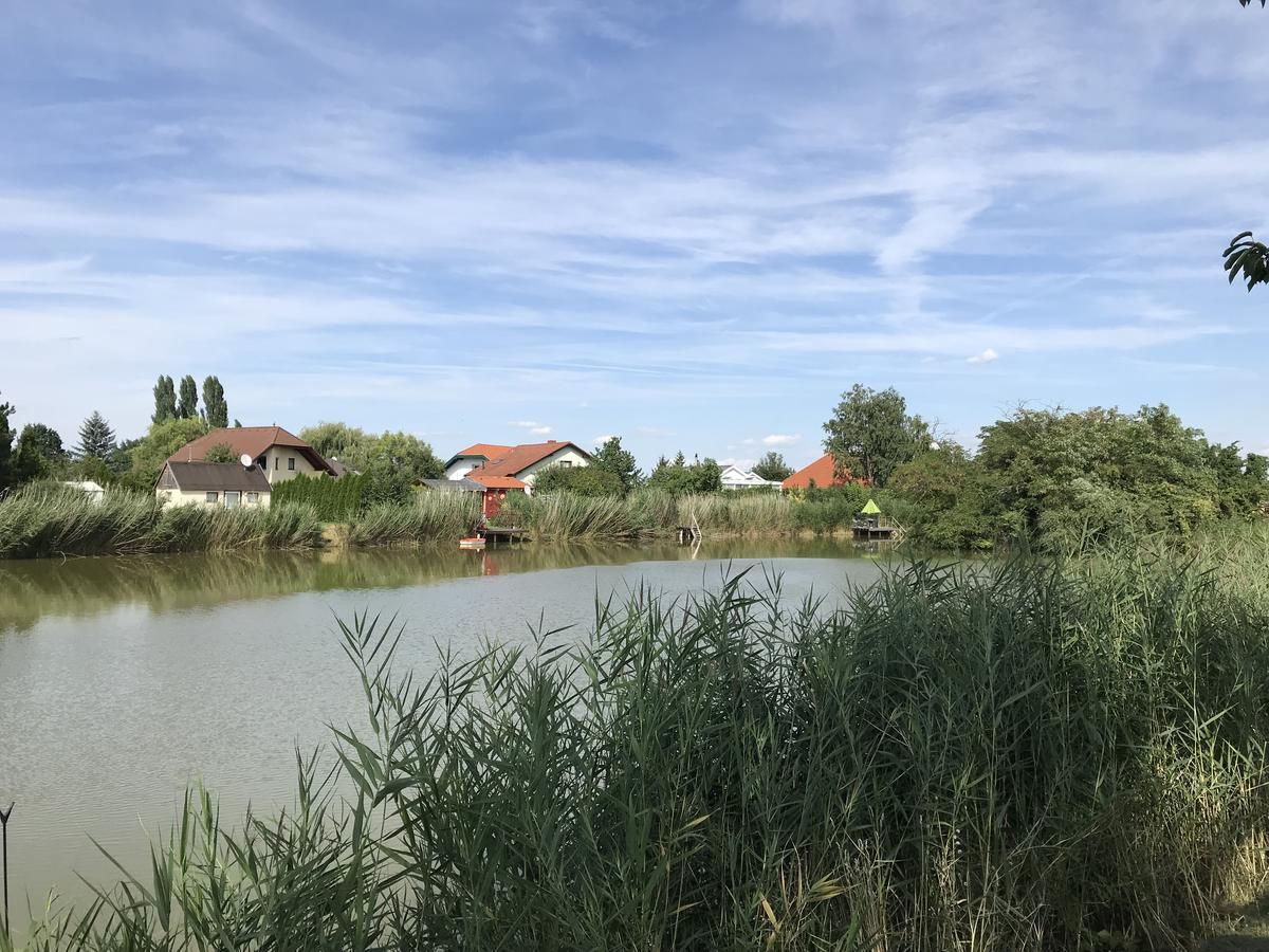 A calm lake with reeds in the foreground and houses in the background under a blue sky.