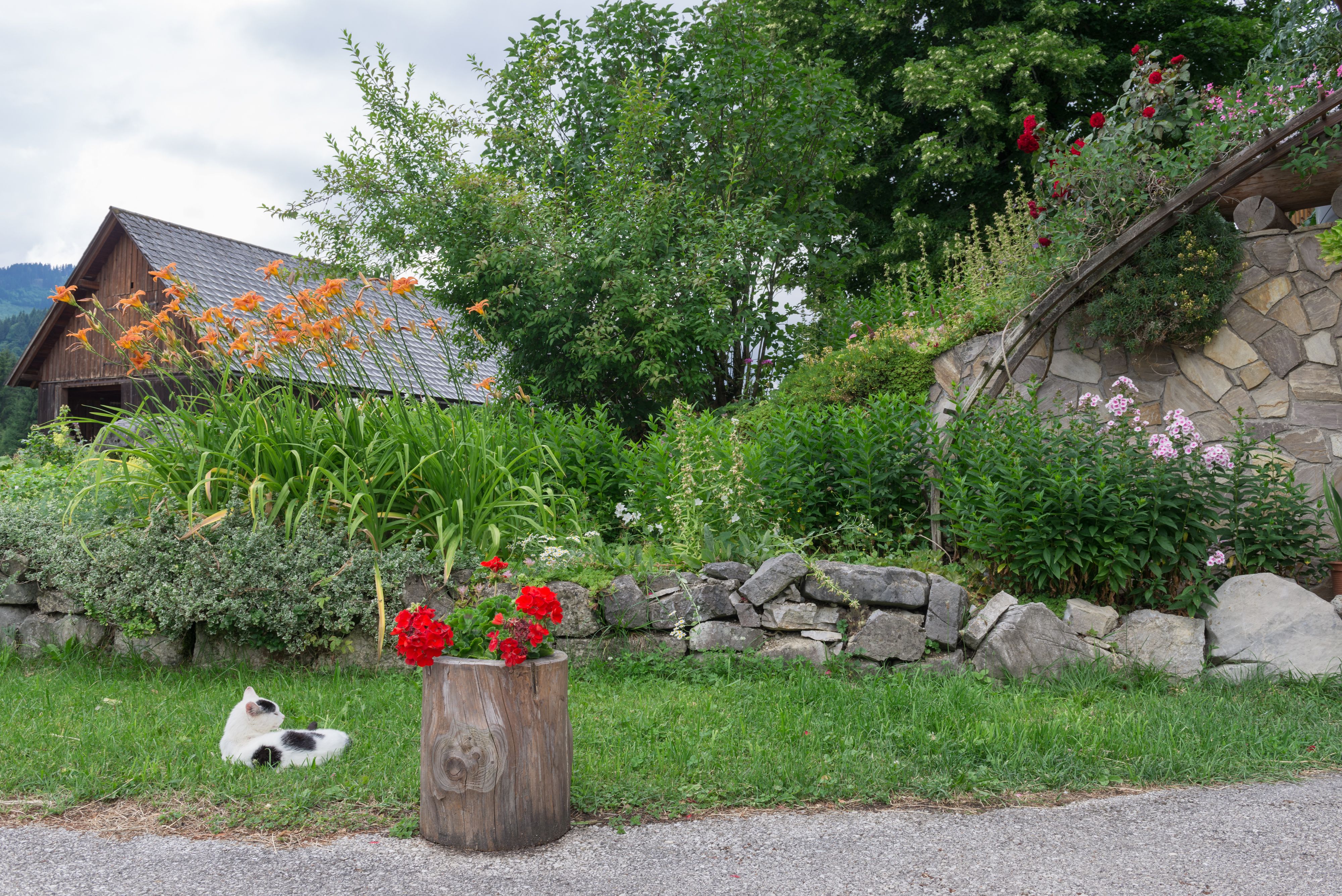 Köhr farm