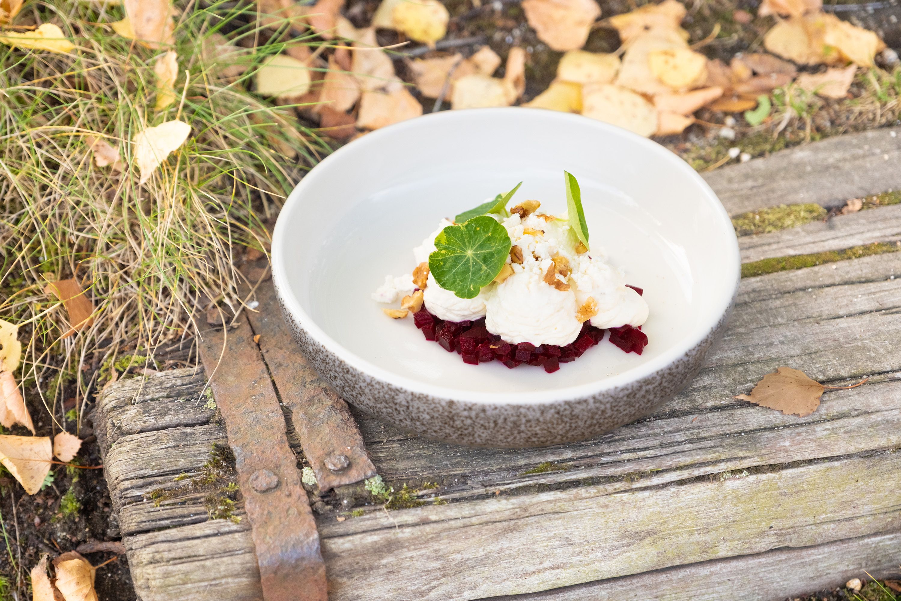 A plate of horseradish mousse on beet, garnished with walnuts and green leaves, stands on a rustic wooden table with autumn leaves.