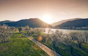 Spring in the Wachau, © Andreas Hofer